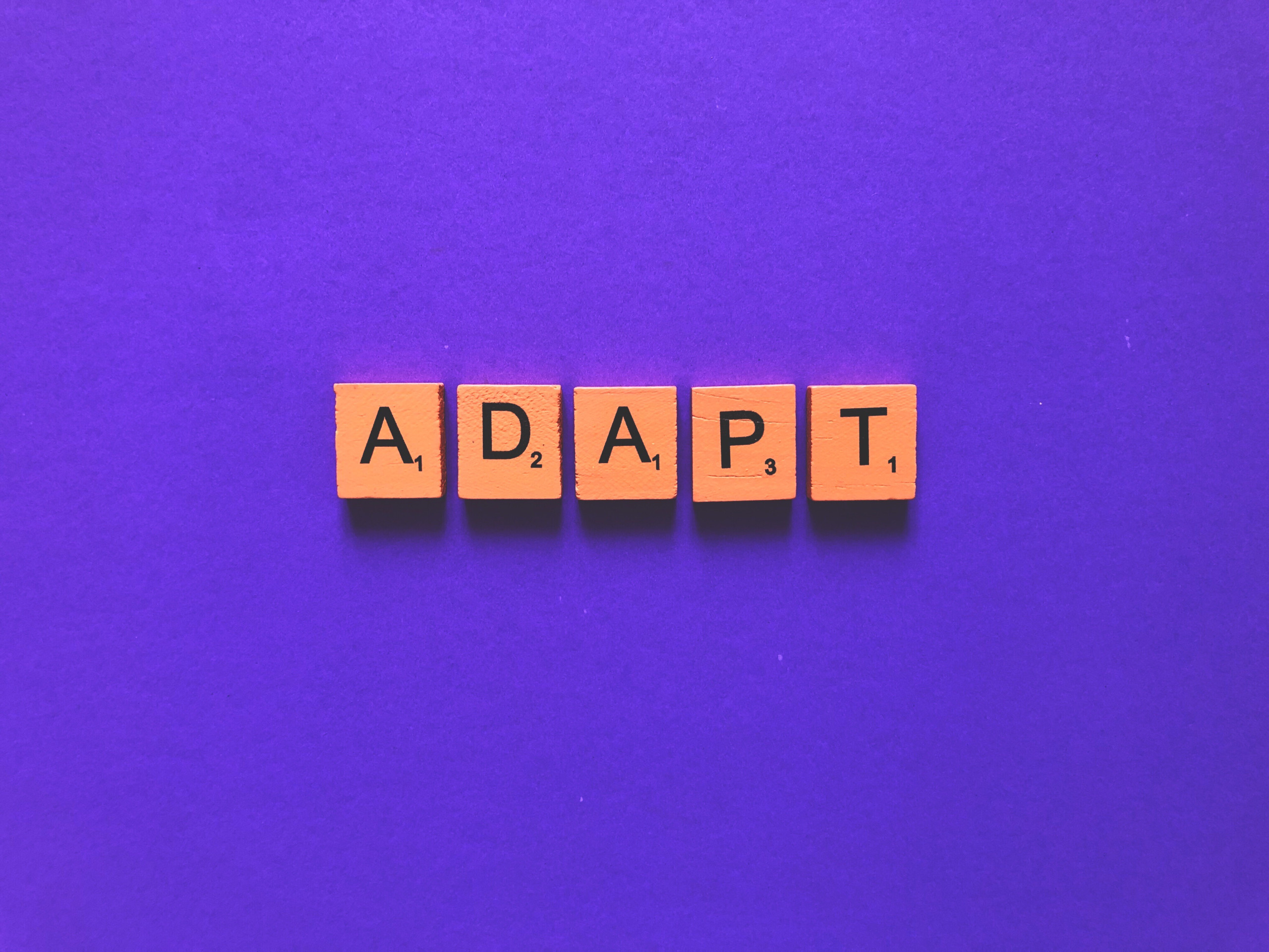 Adaptability Is An Essential Trait For Effective Leadership